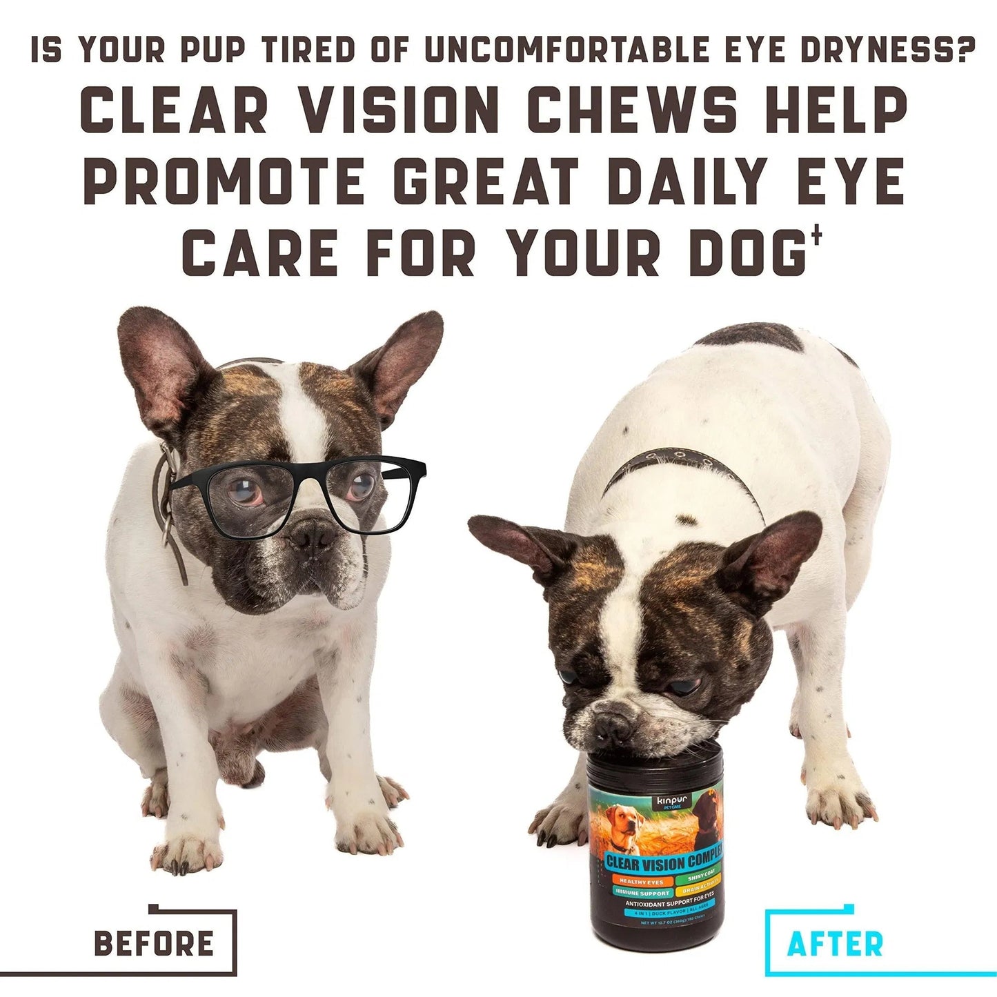 Eye Vitamins For Dogs Dog Vision My Store