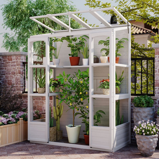 78-inch Wooden Greenhouse Cold Frame With 4 Independent Skylights And 2 Folding Middle Shelve My Store