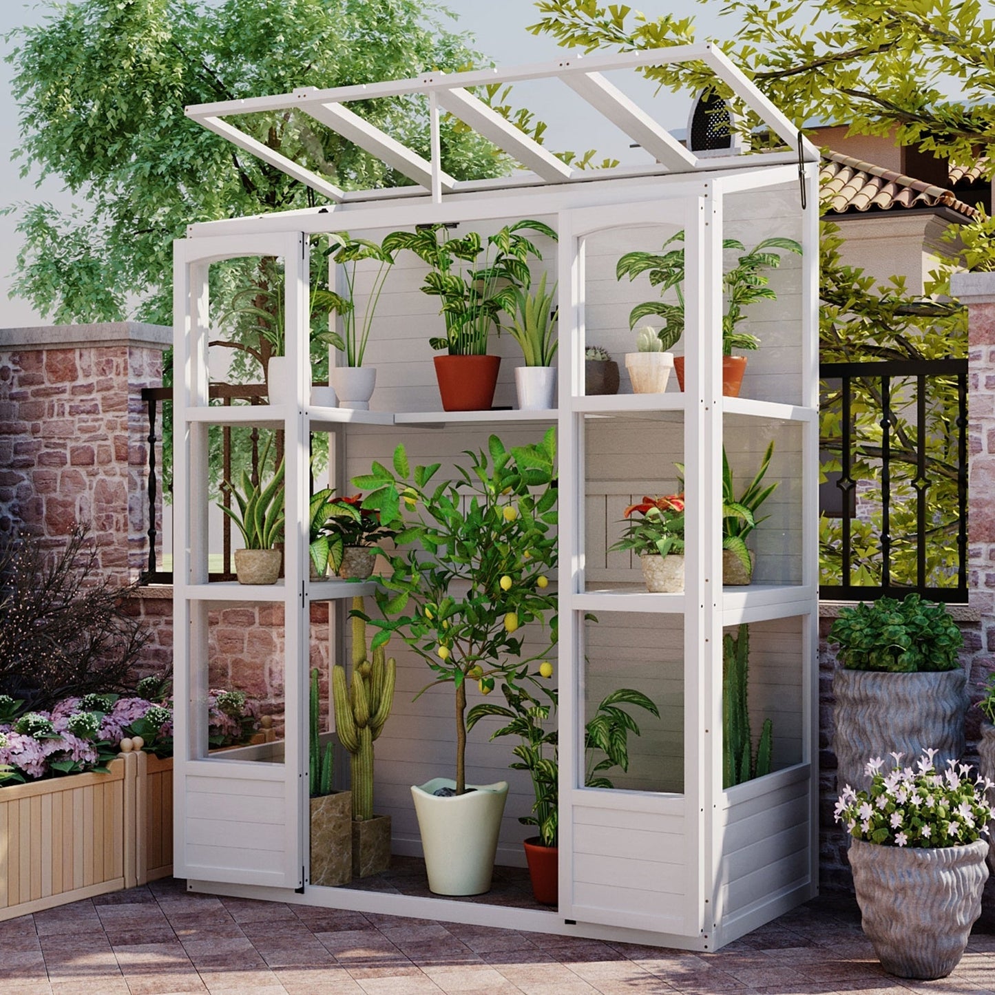 78-inch Wooden Greenhouse Cold Frame With 4 Independent Skylights And 2 Folding Middle Shelve My Store