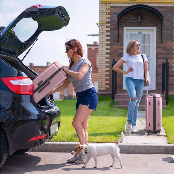 Three In One Set Of Vertical Striped Suitcase Inkedjoy