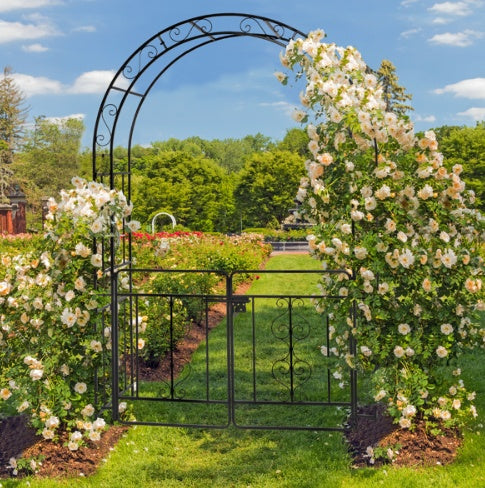 7ft, Black, Double-decked, Rounded Roof, With Door, Wrought Iron, Iron Arch, Courtyard Inkedjoy