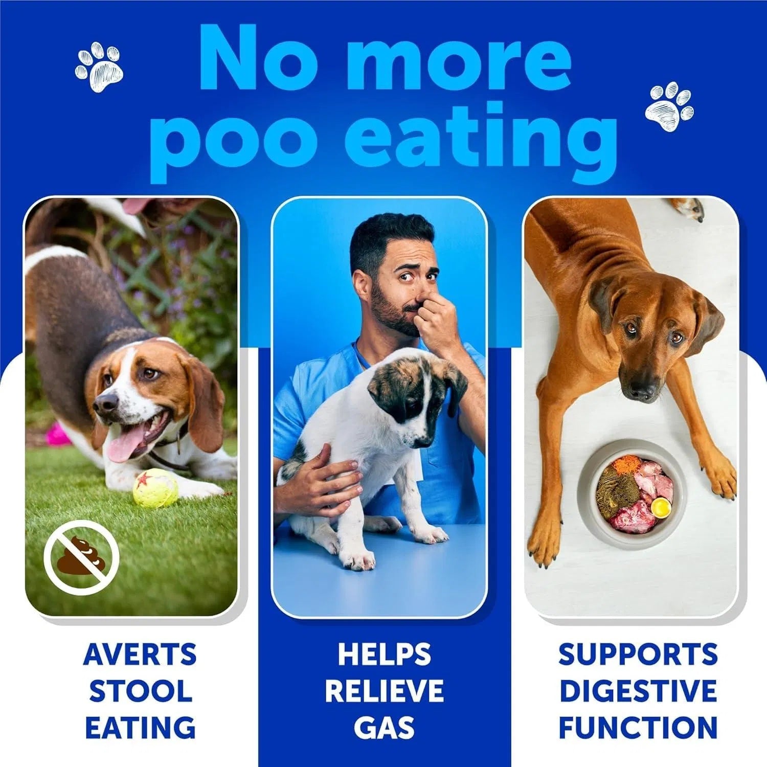 No Poo Chews For Dogs My Store