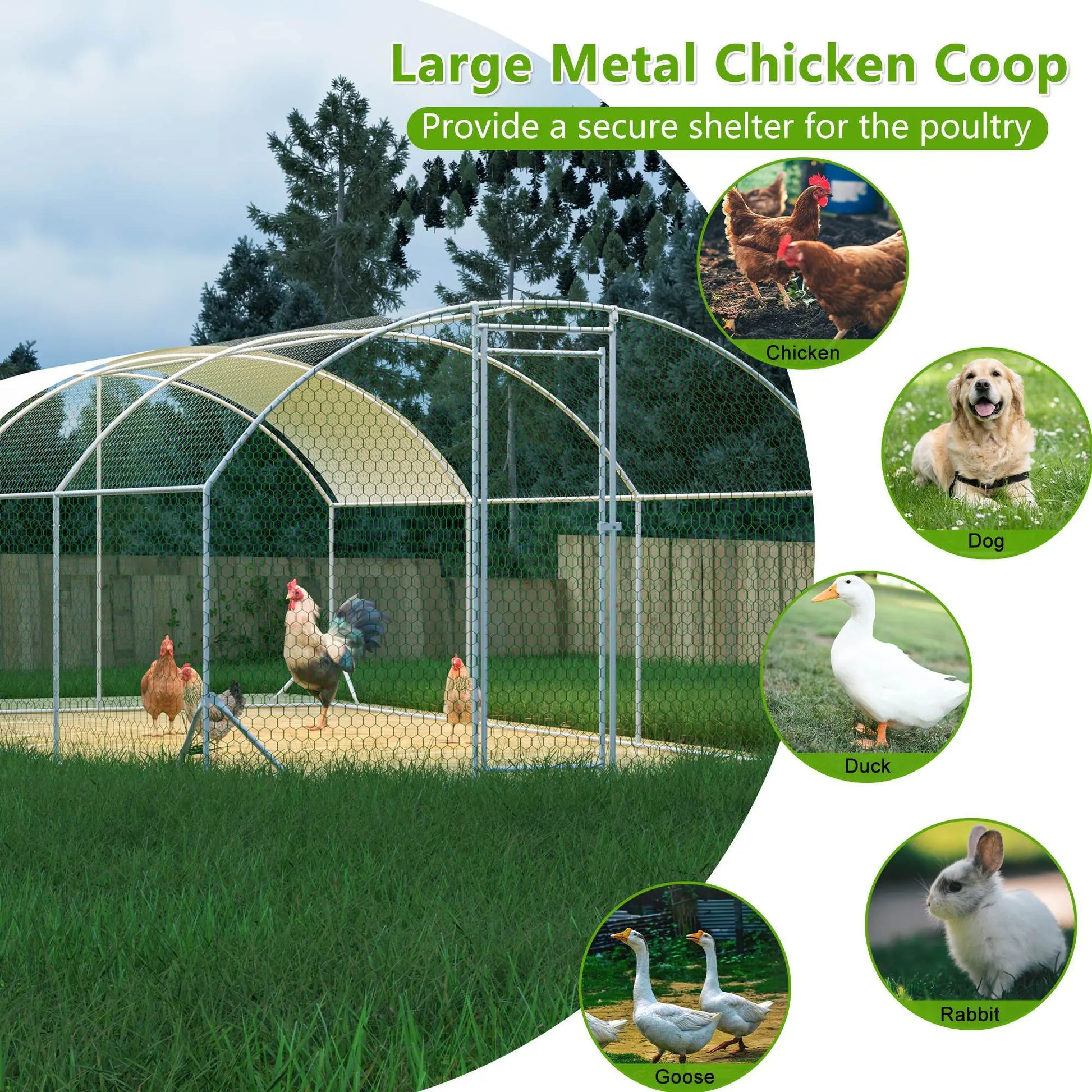 Large Chicken Coop Metal My Store
