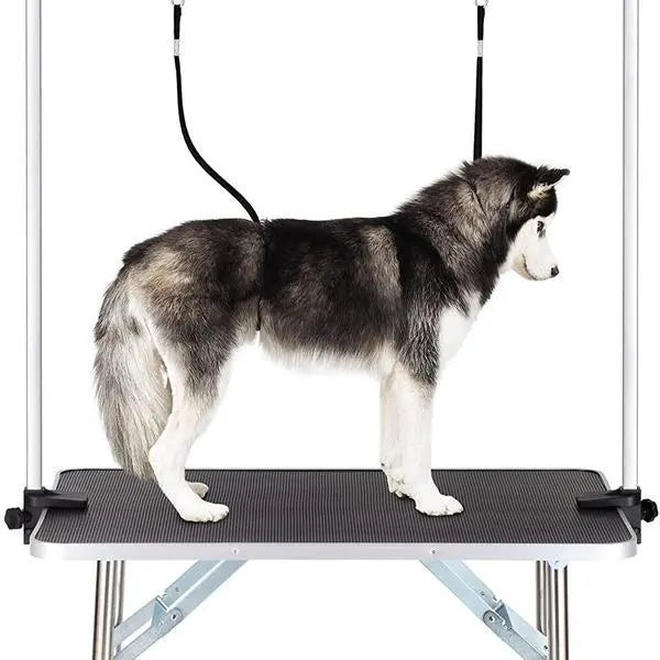 Pet Dog Grooming Table My Store