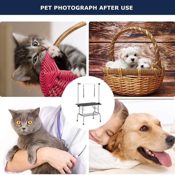 Pet Dog Grooming Table My Store