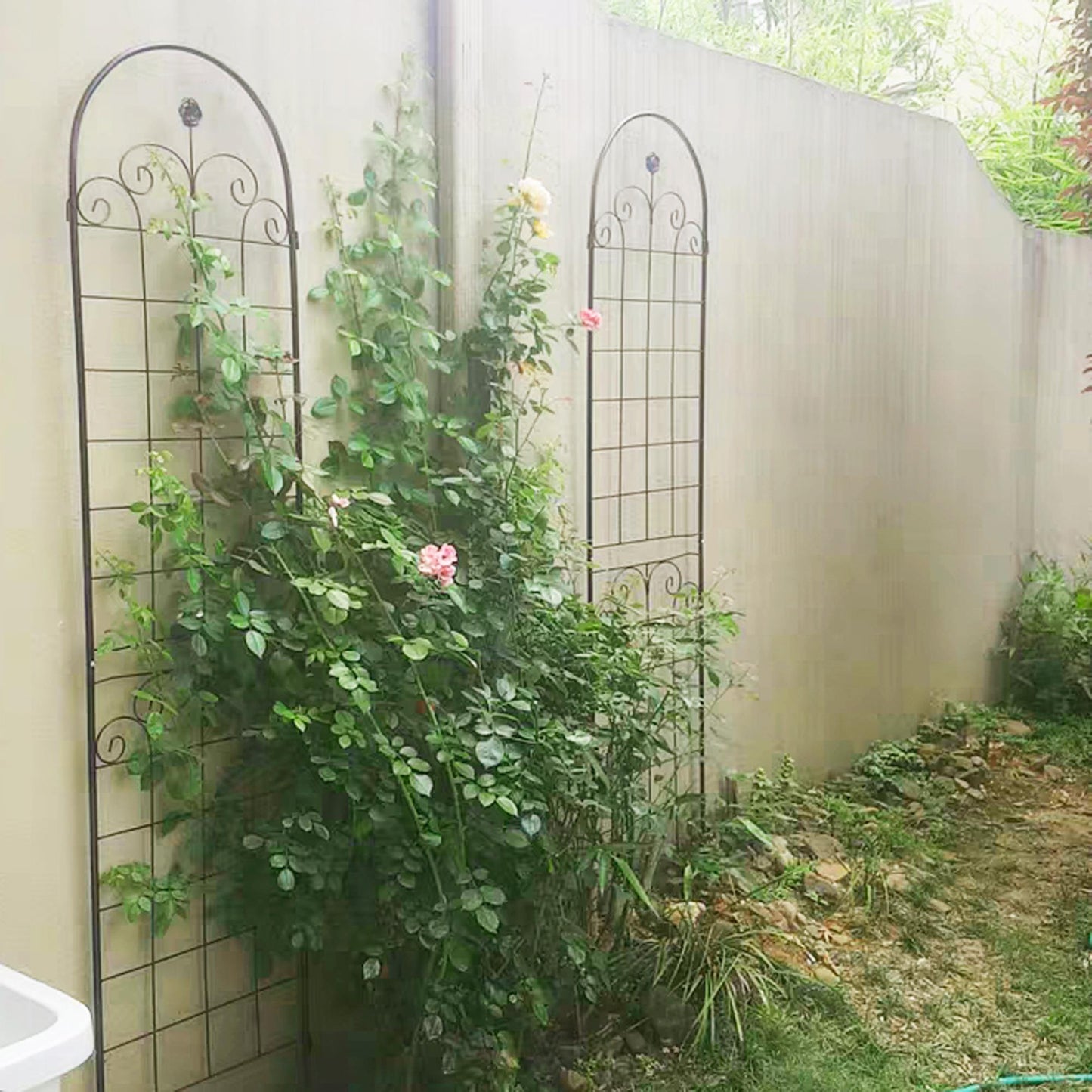 Metal Garden Trellis For Outdoor Climbing Plants Inkedjoy