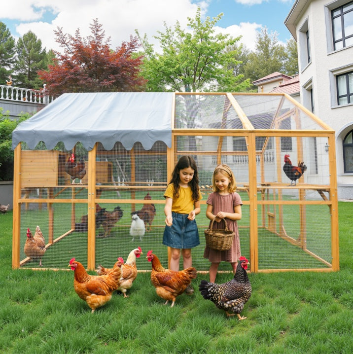 Chicken coop My Store
