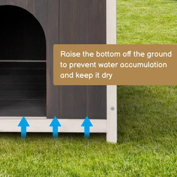 2-story Cat House With Ladder My Store