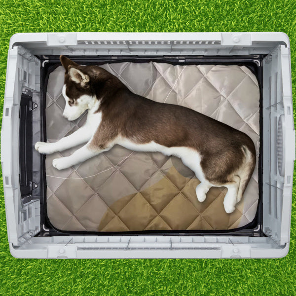 33 Inch Pointed House Type Cat And Dog House My Store