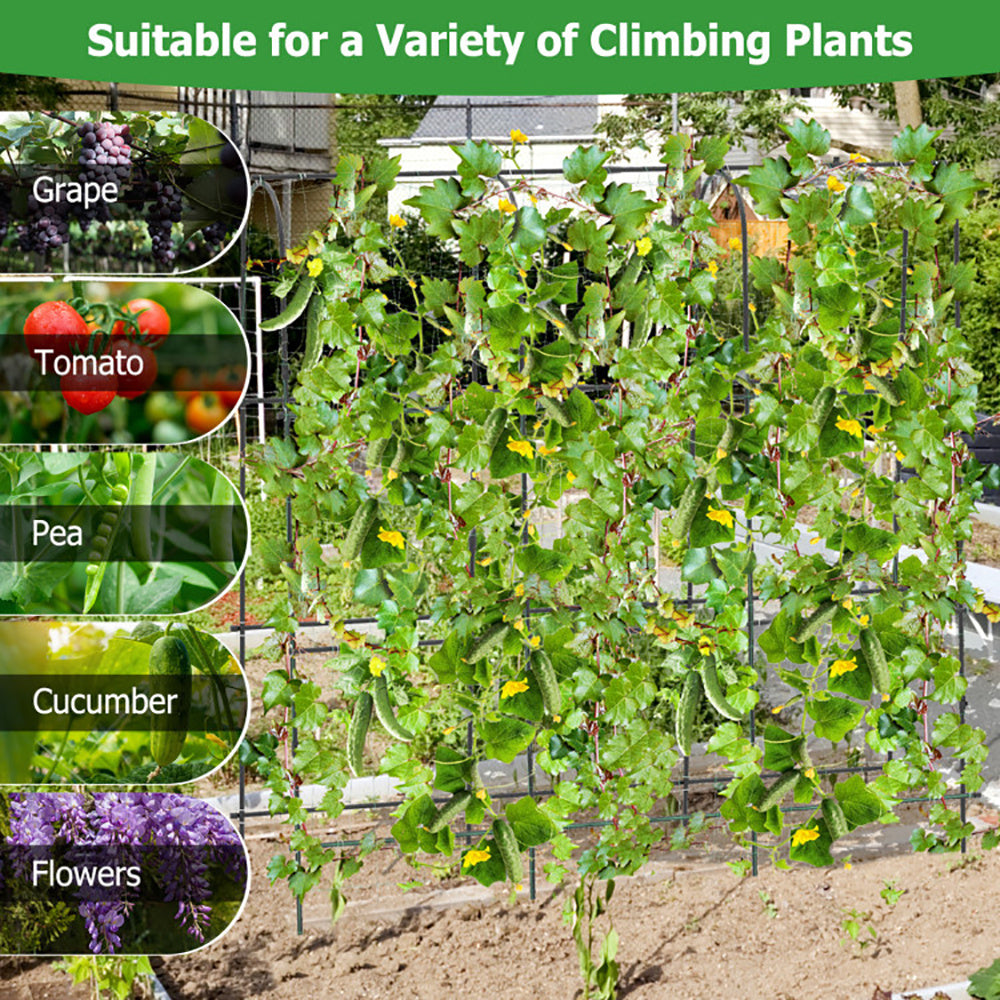 71 X 71 Inch U-Shaped Tall Garden Arched Trellis For Climbing Plants My Store