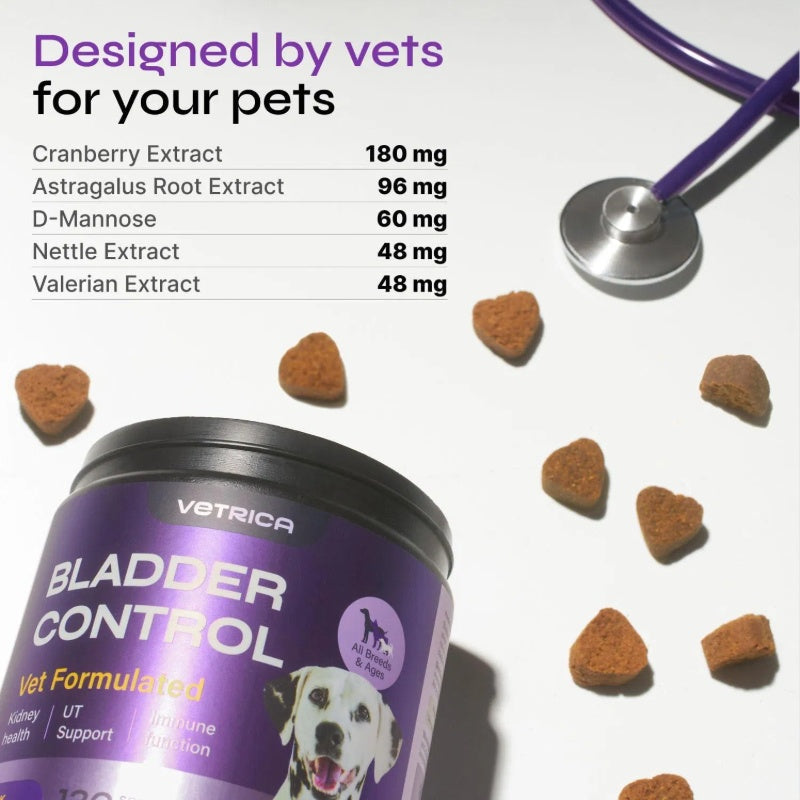 Dog UTI Treatment Duck Flavor Bladder Control Cranberry Chews For Dogs My Store