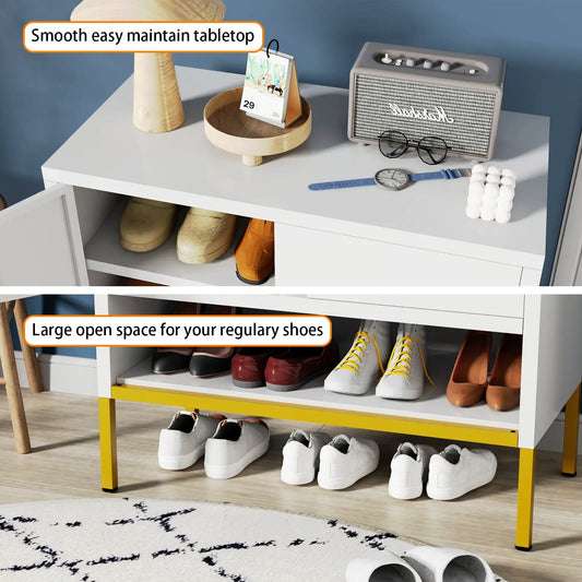 2-Door Shoes Cabinet My Store