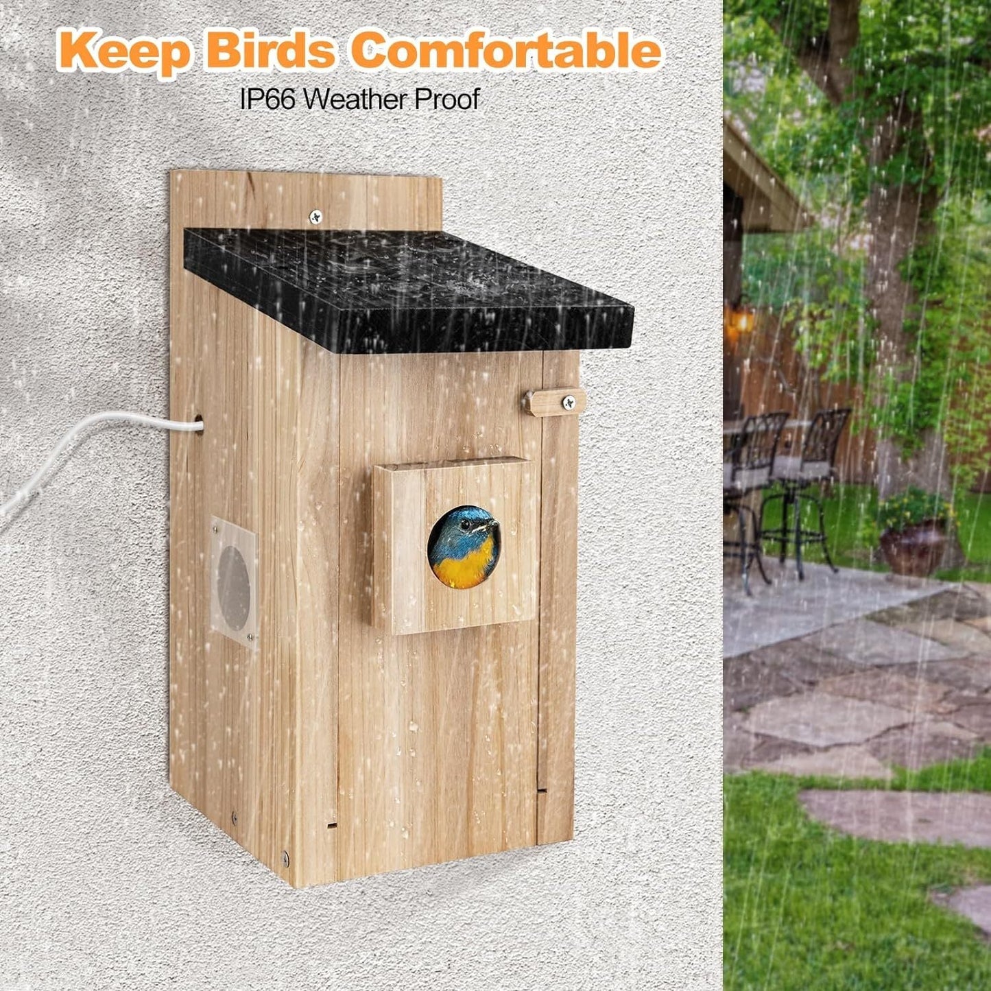 Smart Bird House With Camera,Auto Capture Bird Videos & Motion Detection My Store