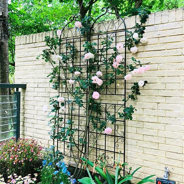 Metal Garden Trellis , Suitable For Climbing Plants, Outdoor Flower Stand - Black Inkedjoy