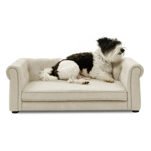 Elegant Rectangular Pet Bed For Medium And Large Dogs My Store