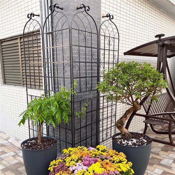 Metal Garden Trellis , Suitable For Climbing Plants, Outdoor Flower Stand - Black Inkedjoy