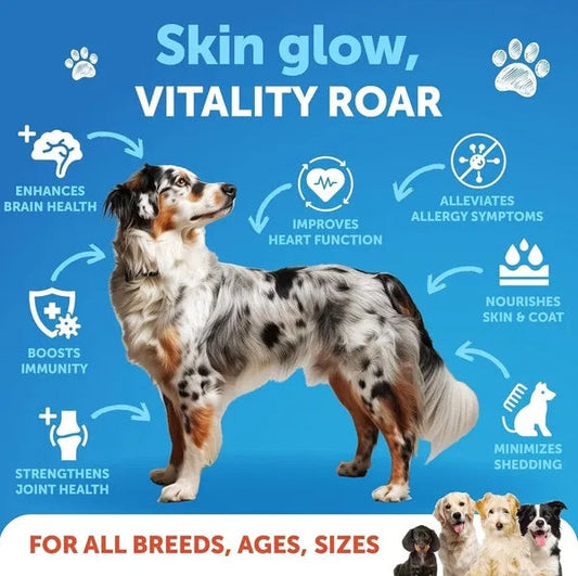Salmon Oil For Dogs 3 For Dogs 8 FL OZ Wild Alaskan Salmon Fish Oil My Store