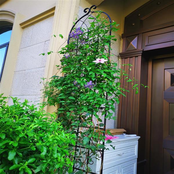 Metal Garden Trellis , Suitable For Climbing Plants, Outdoor Flower Stand - Black Inkedjoy