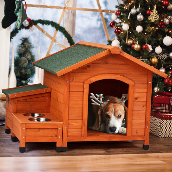 Green Asphalt Roof Golden Red Pet House My Store