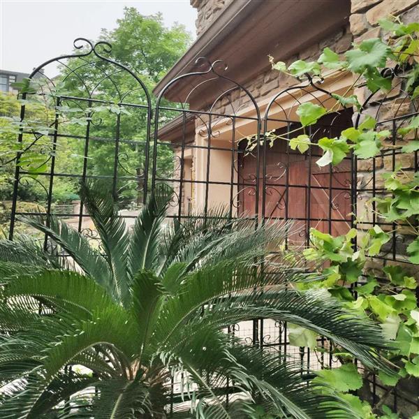 Metal Garden Trellis , Suitable For Climbing Plants, Outdoor Flower Stand - Black Inkedjoy