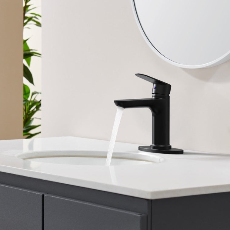 Matte Black Single Handle Faucet My Store