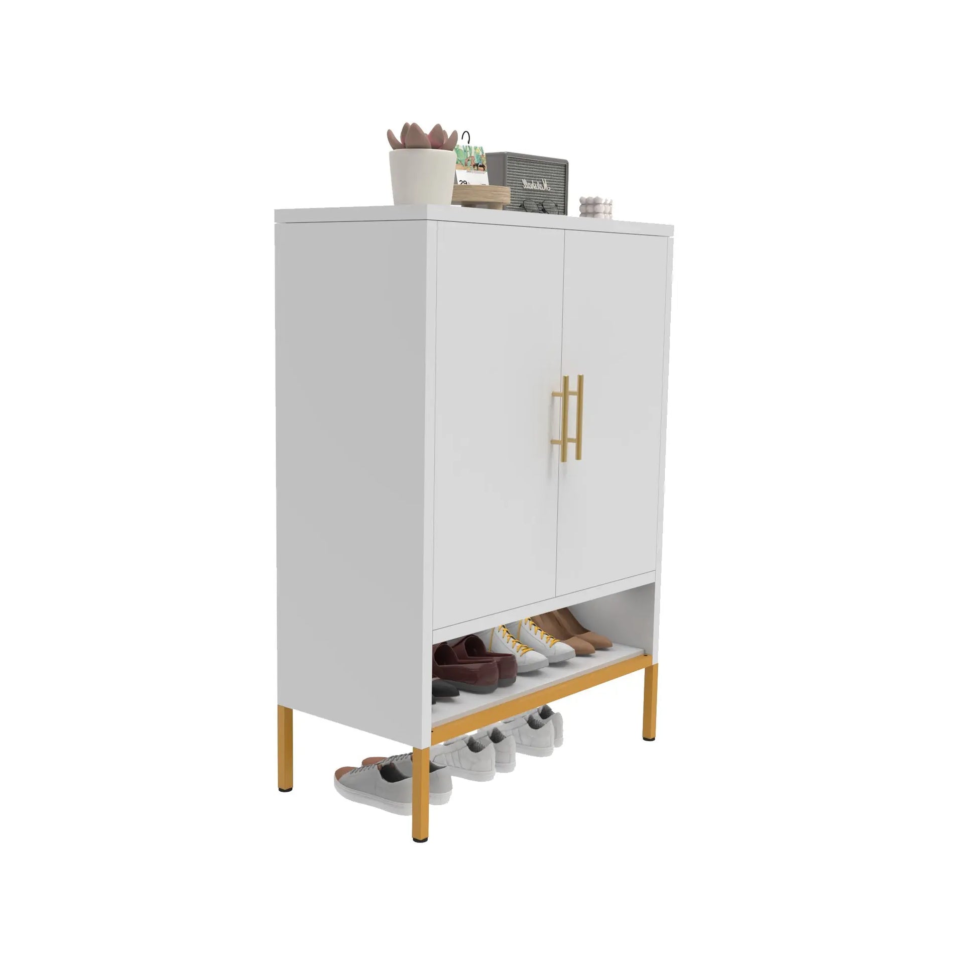 2-Door Shoes Cabinet My Store