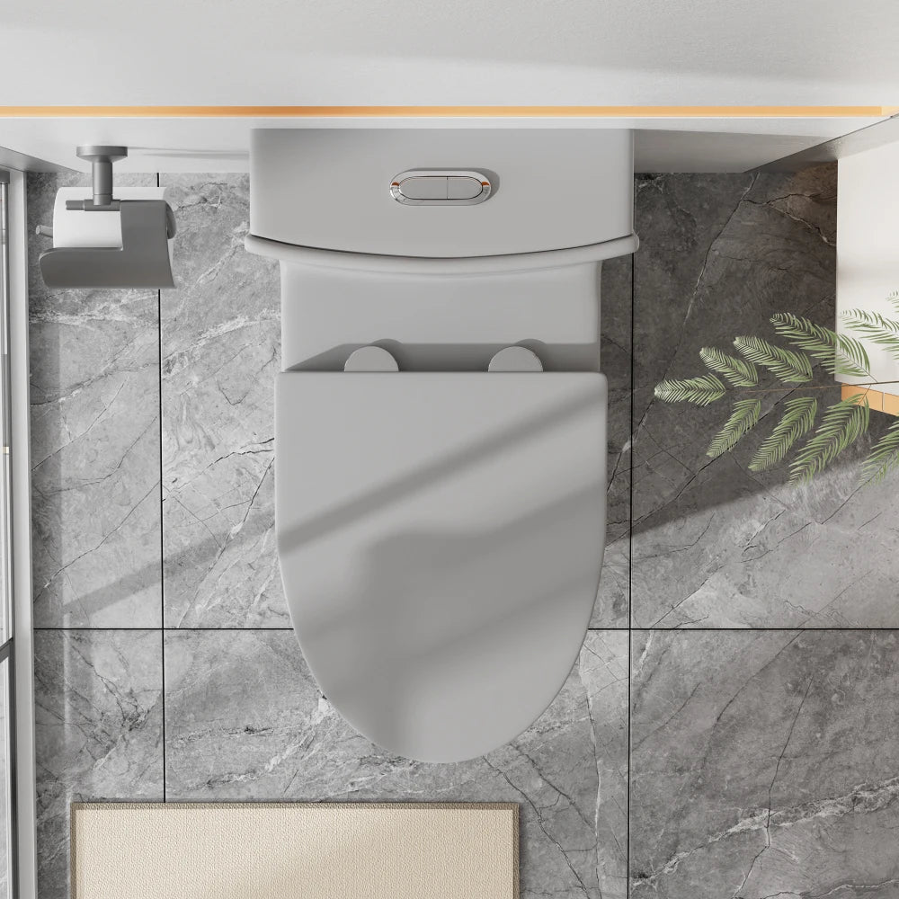 Matte Black Elongated One Piece Toilet Dual Flush 1.1/1.6 GPF Water Saving Map 1000g,Matte Black Ohberri