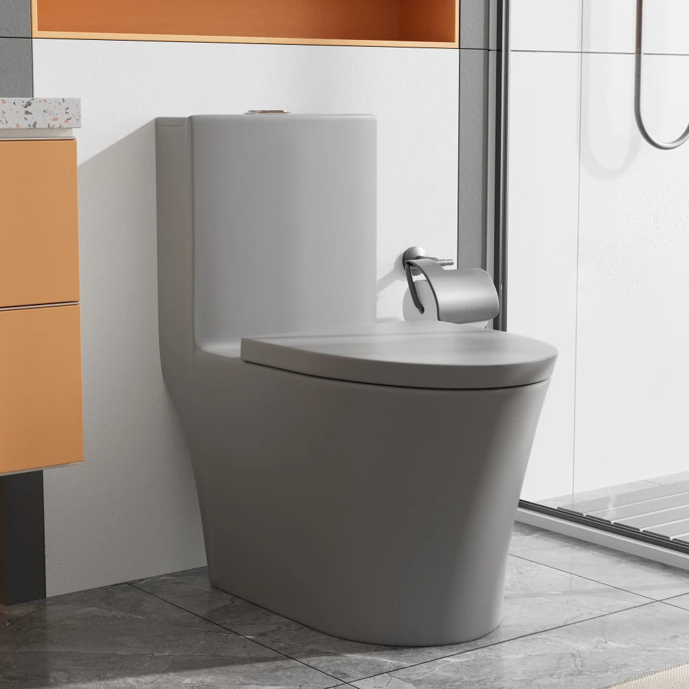 Matte Black Elongated One Piece Toilet Dual Flush 1.1/1.6 GPF Water Saving Map 1000g,Matte Black Ohberri