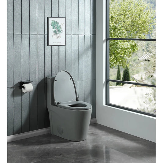 Dual-Flush One Piece Toilet, Water-Saving Elongated Ohberri
