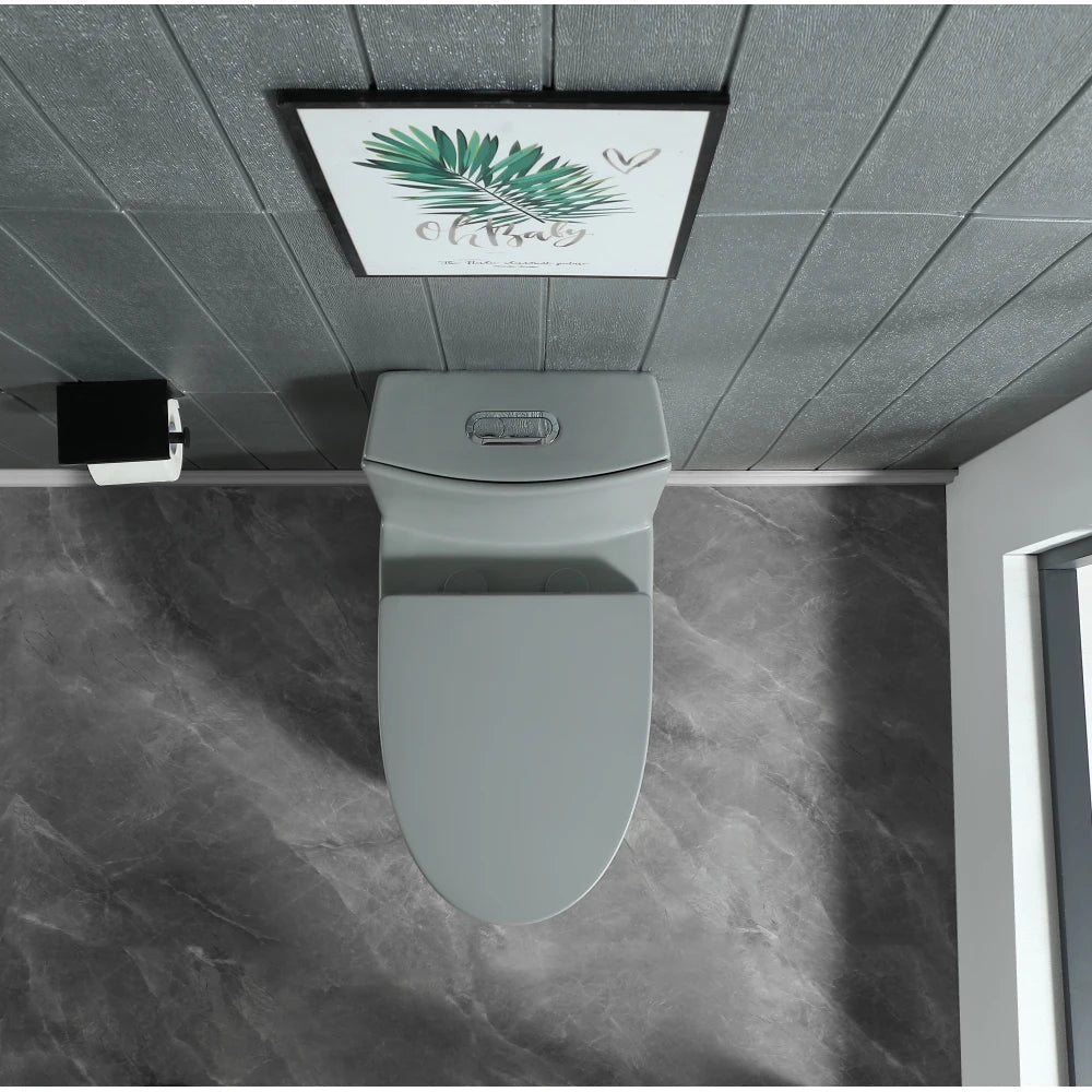 Dual-Flush One Piece Toilet, Water-Saving Elongated Ohberri