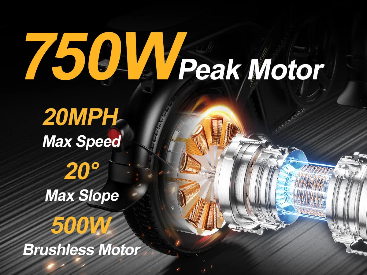 Electric Bike 750W Peak Motor 48V15AH LCD Display 14-inch Tire Electric Bicycle - Ohberri