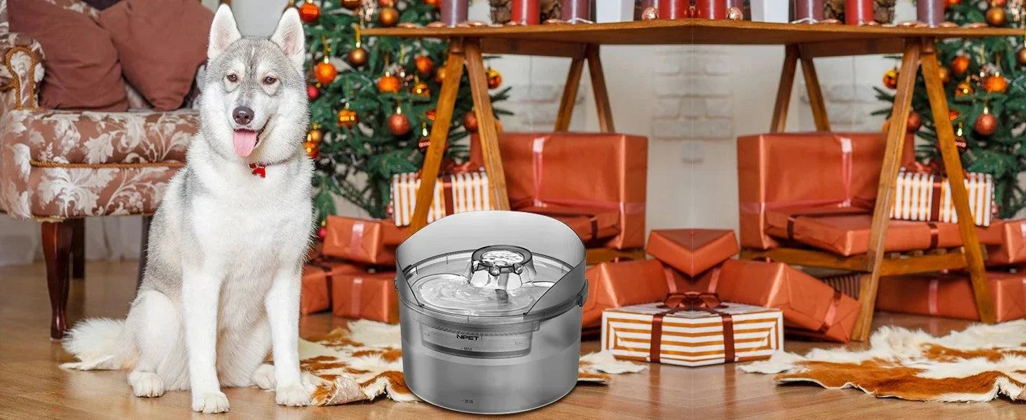 Fountain, 2 Gallon/270oz/8L Large Automatic Water Dispenser with Splatter Guard Ohberri