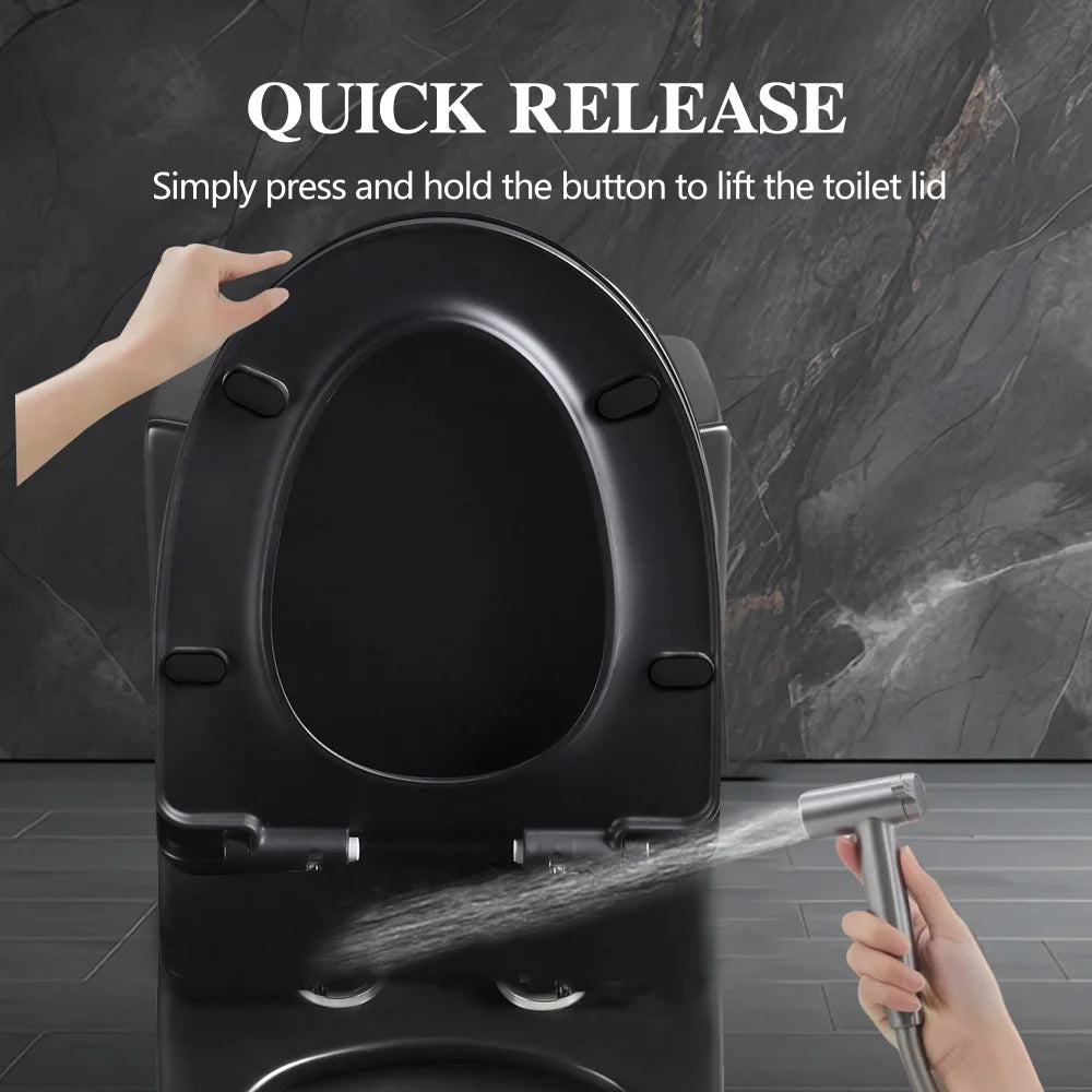 Dual-Flush, Water-Saving Elongated Ohberri