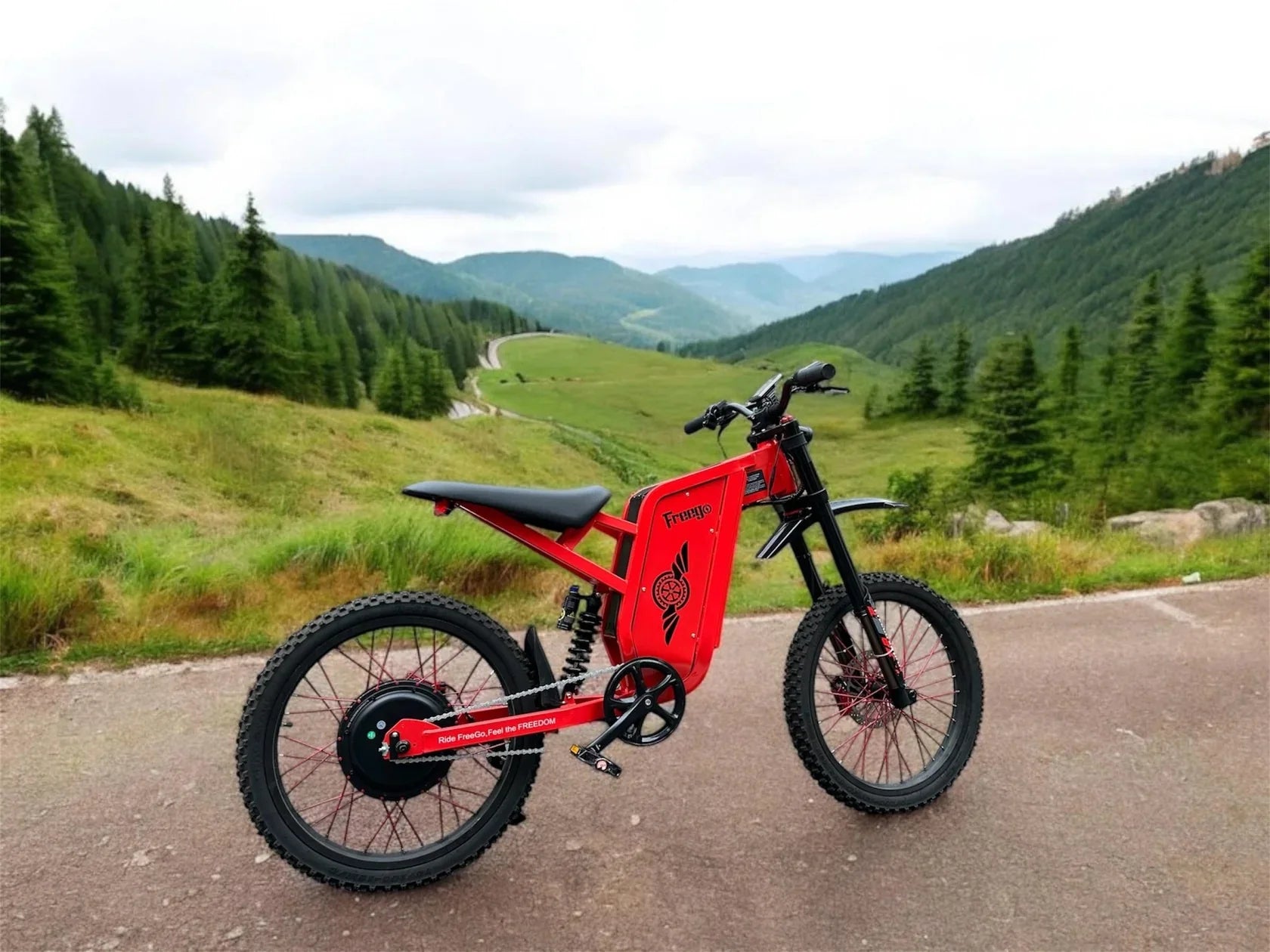 6000W Brushless Gearless Motors 30AH Lithium Battery Speed 90Kmh Electric Dirt Bike - Ohberri