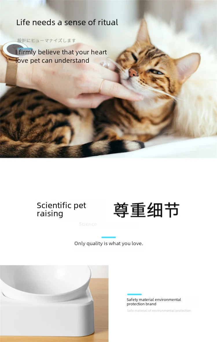 Double Bowl Automatic Watering Pet Anti-overturn Rice Plastic Cat Dog Food Bowl Cats Dogs Pet Tableware Ohberri