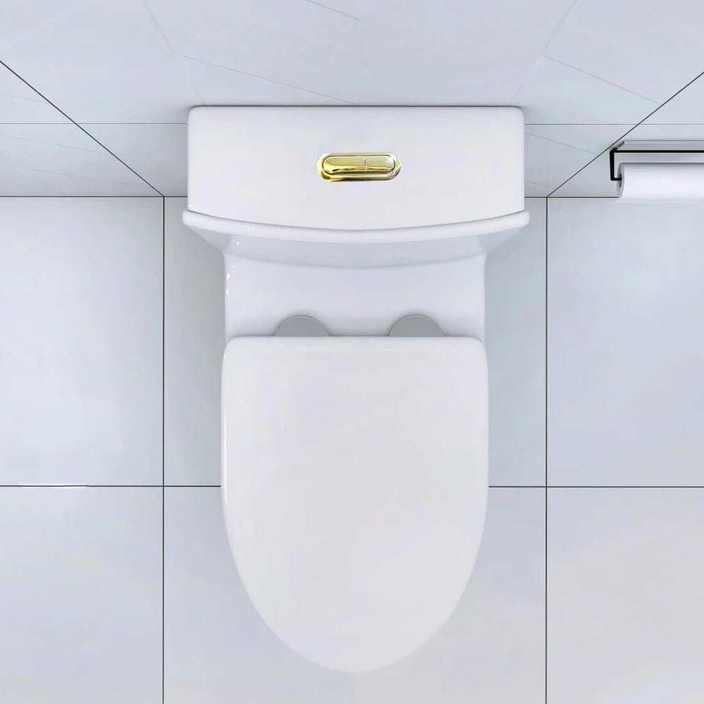 Matte Black Elongated One Piece Toilet Dual Flush 1.1/1.6 GPF Water Saving Map 1000g,Matte Black Ohberri