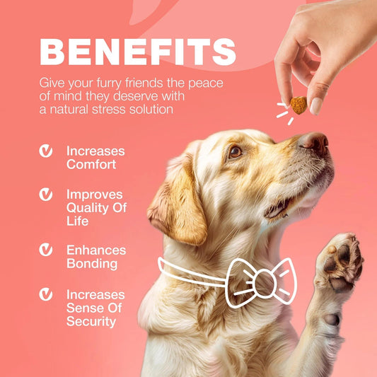 Dog Flea And Tick Treatment Chews My Store
