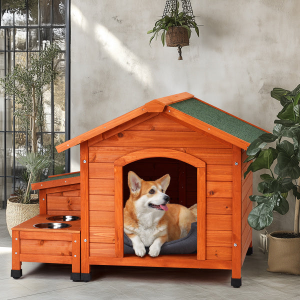 Green Asphalt Roof Golden Red Pet House My Store