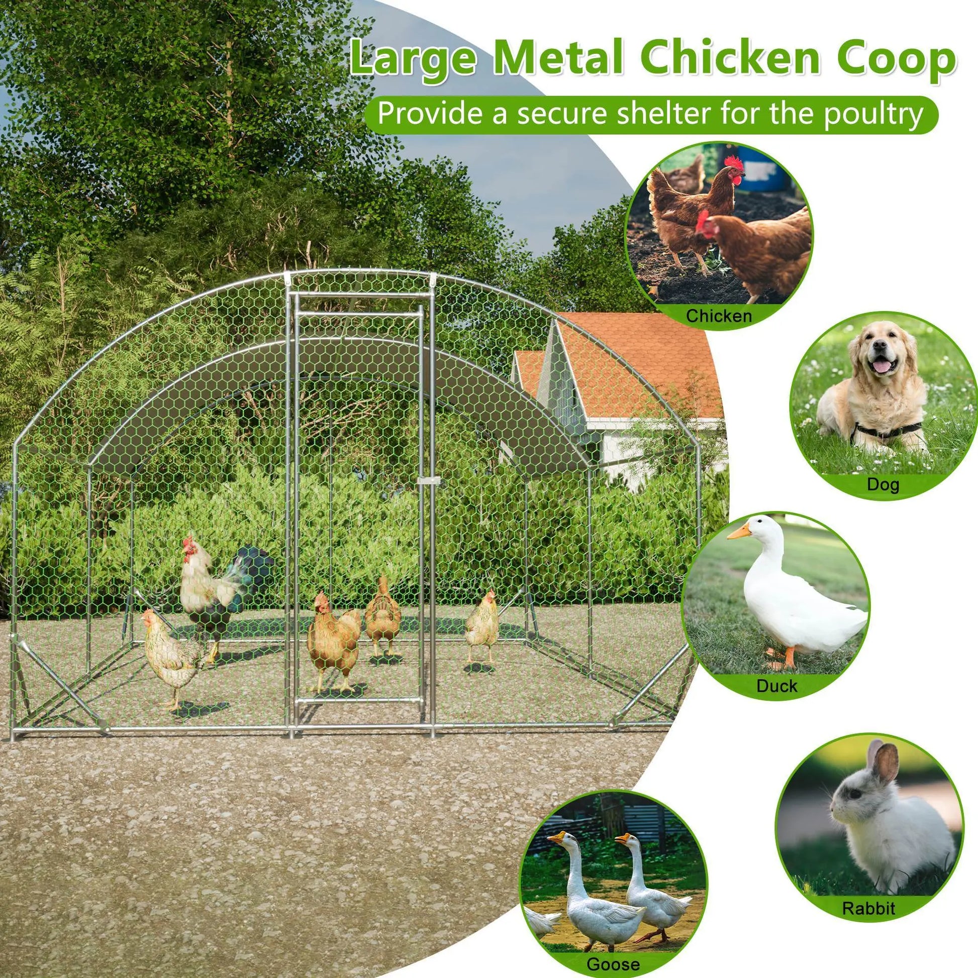 Large Chicken Coop Metal My Store