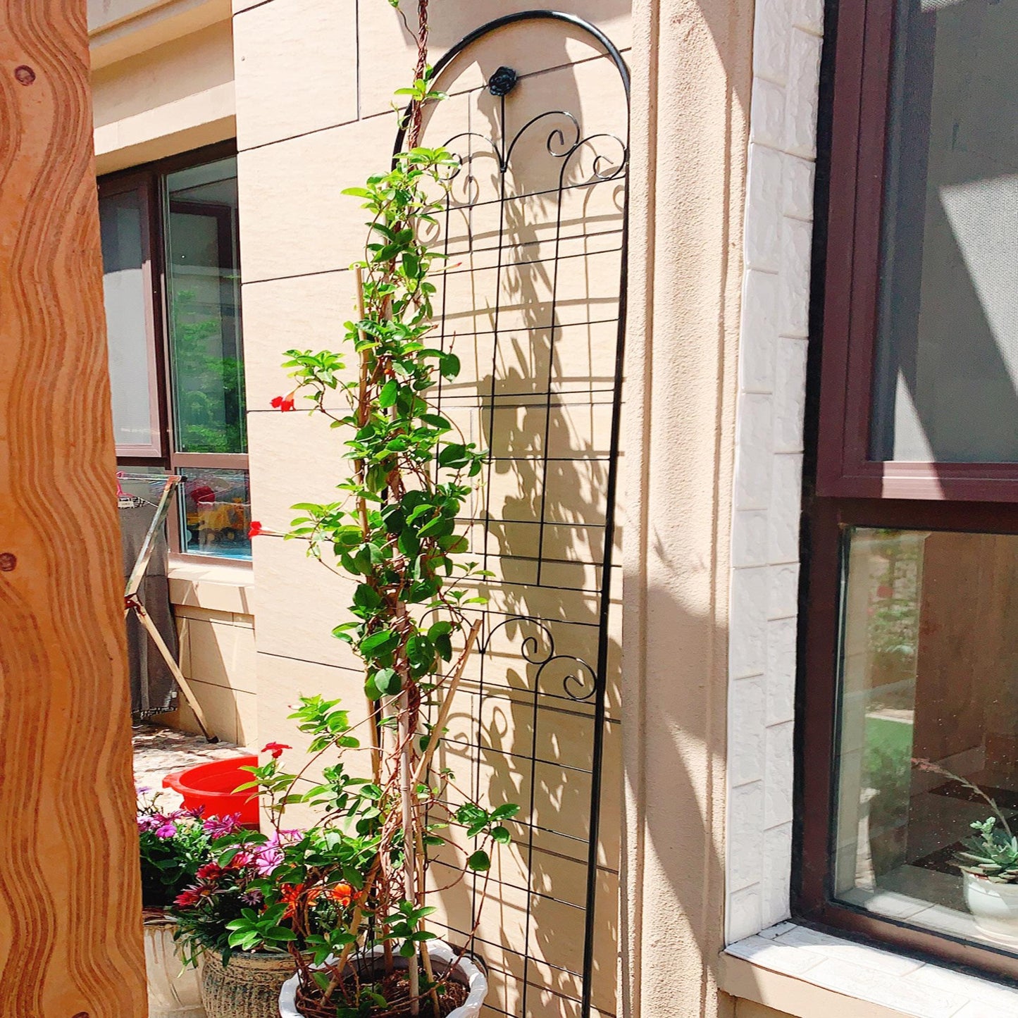 Metal Garden Trellis For Outdoor Climbing Plants Inkedjoy