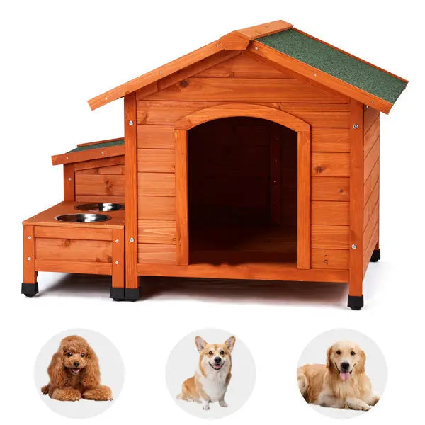 Green Asphalt Roof Golden Red Pet House My Store