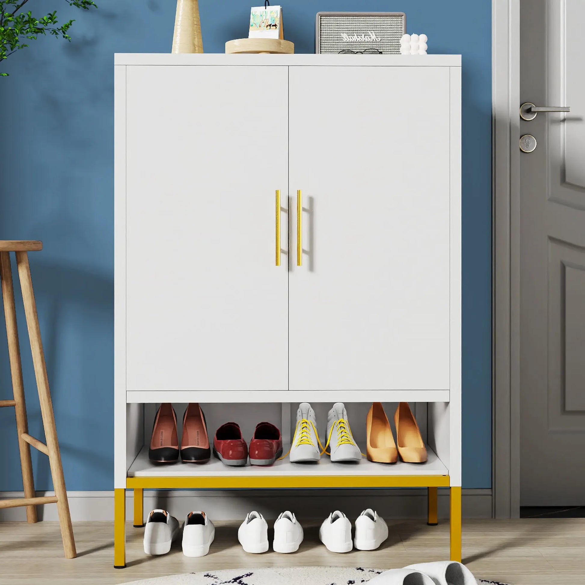 2-Door Shoes Cabinet My Store
