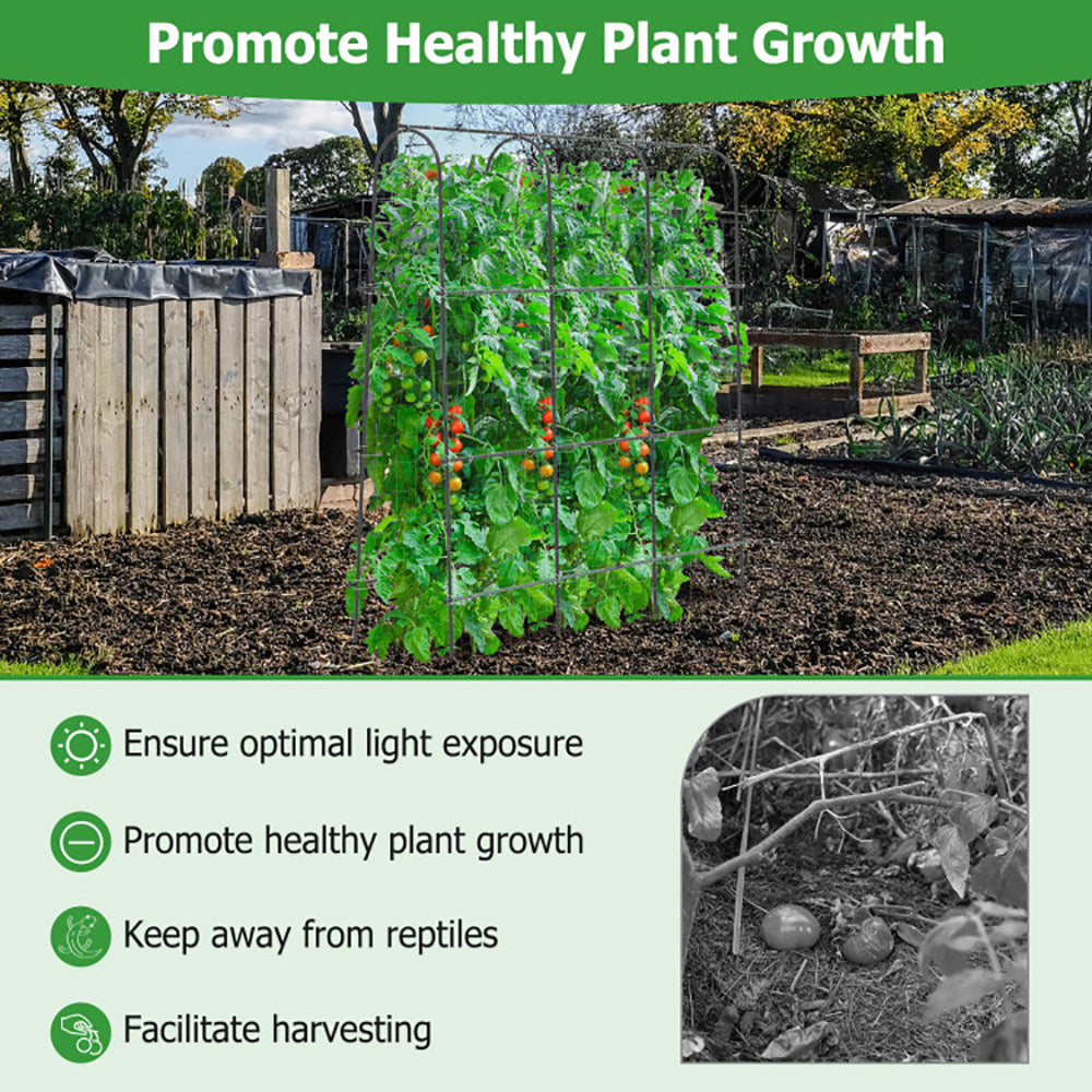 71 X 71 Inch U-Shaped Tall Garden Arched Trellis For Climbing Plants My Store