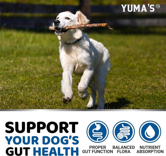2 Pack Probiotics For Dogs And Digestive Enzymes Upset Stomach Gas Relief -340 Chews My Store