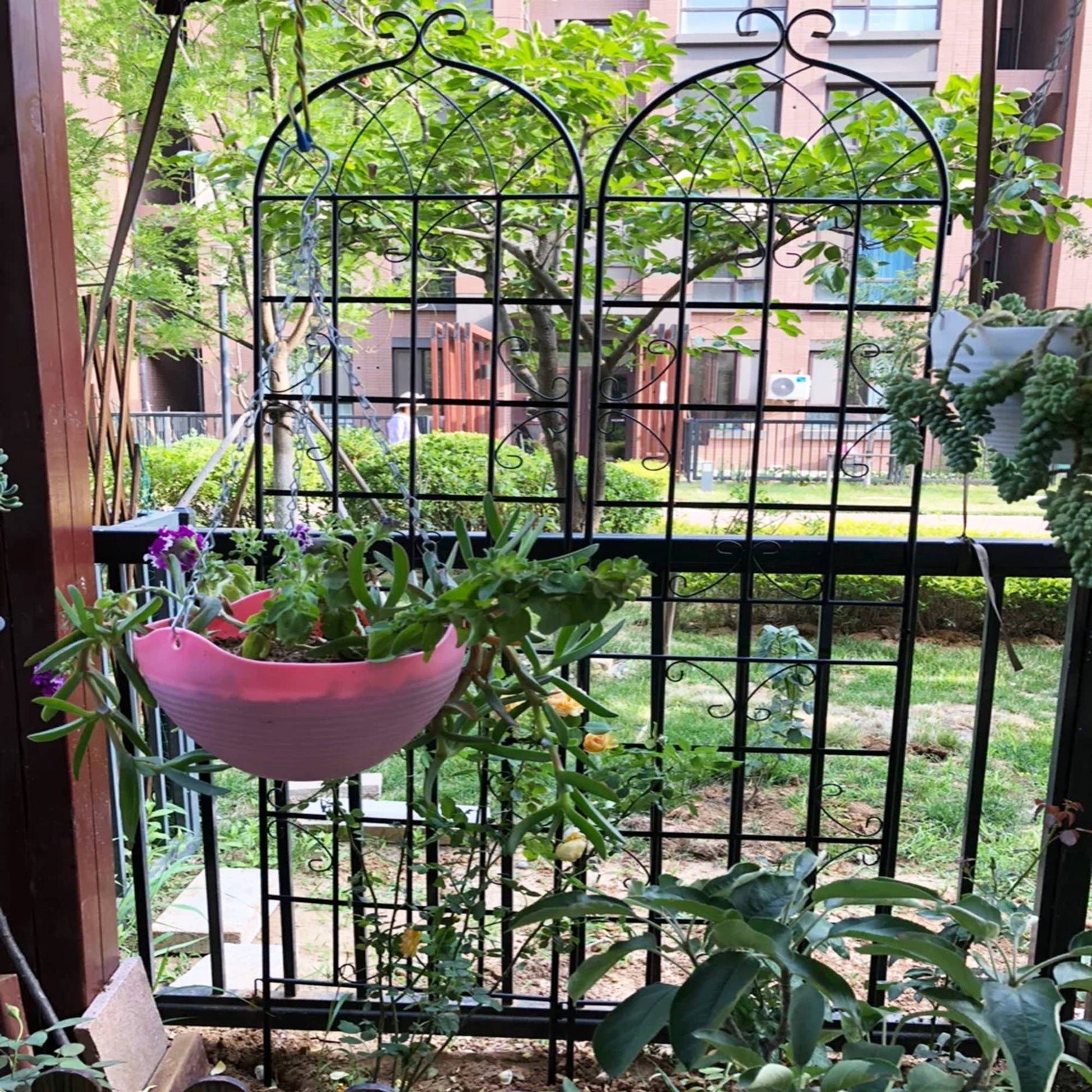 2 Pack Metal Garden Trellis Rustproof Trellis For Climbing Plants Inkedjoy