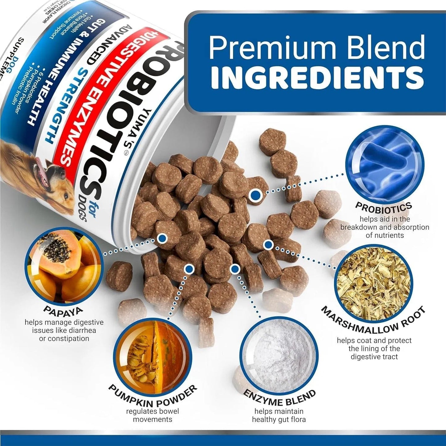 2 Pack Probiotics For Dogs And Digestive Enzymes Upset Stomach Gas Relief -340 Chews My Store