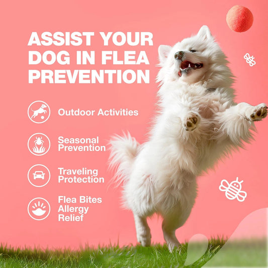 Dog Flea And Tick Treatment Chews FleaTick Prevention For Dogs My Store