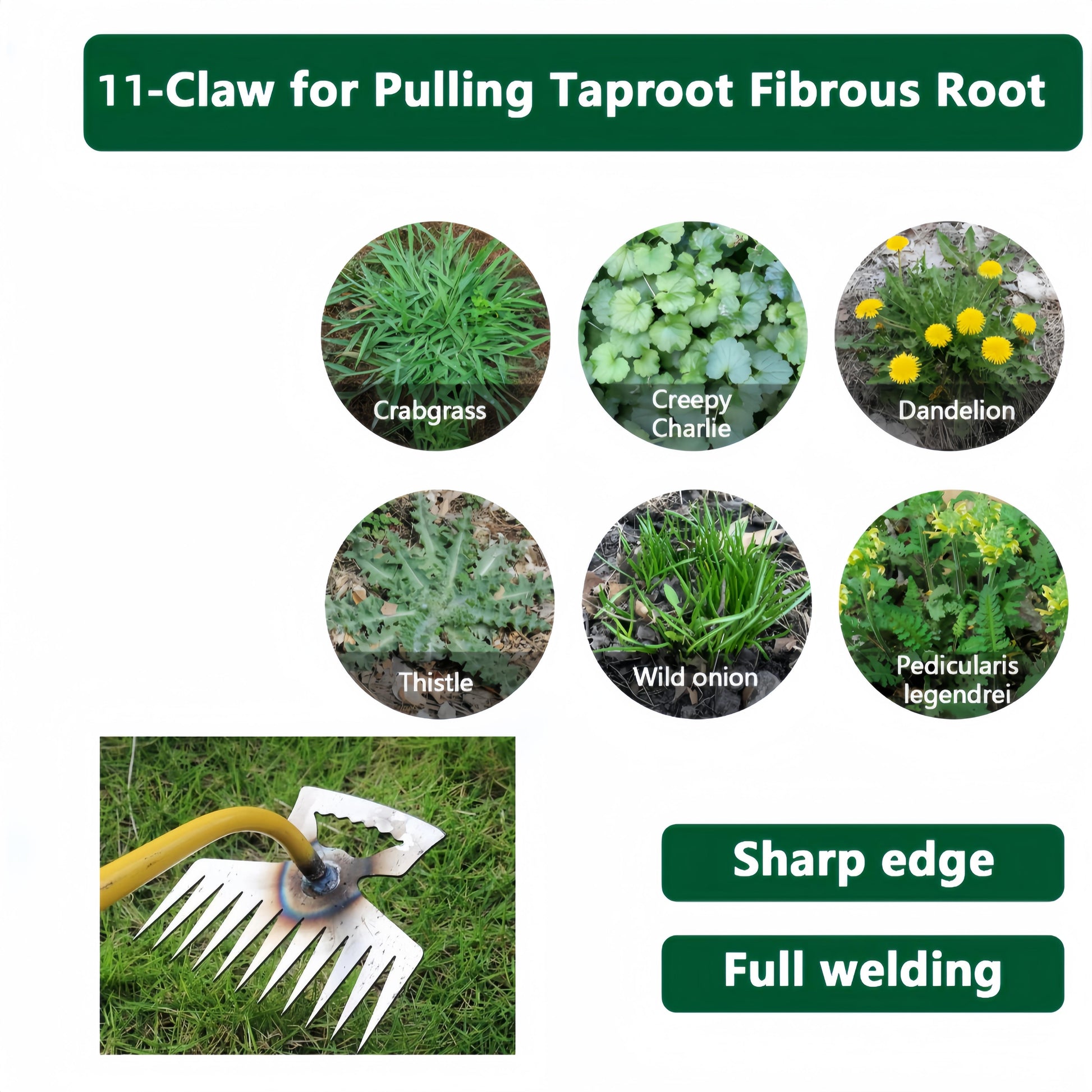 2-Pack Of Weeding Tools Inkedjoy