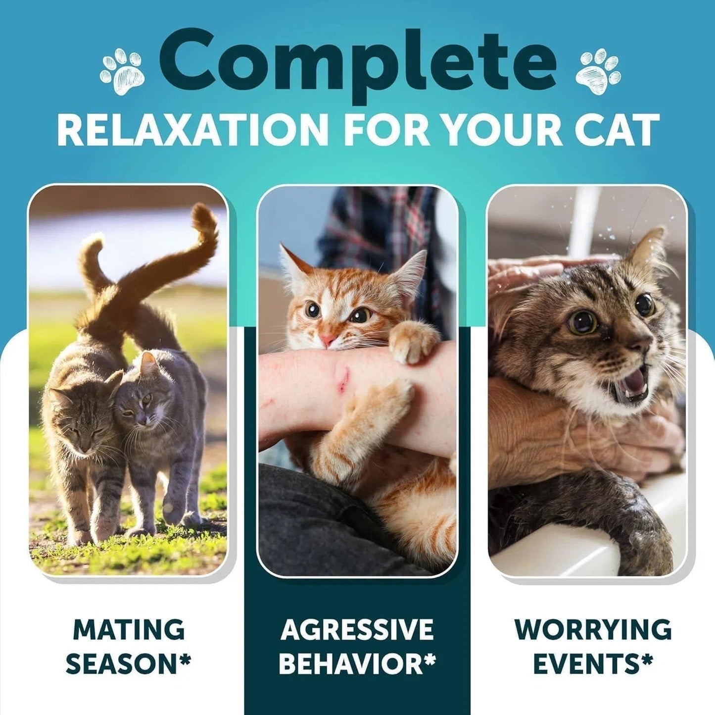 Cat Calming Treats For Stress & Anxiety Relief Cat Kittens Melatonin My Store