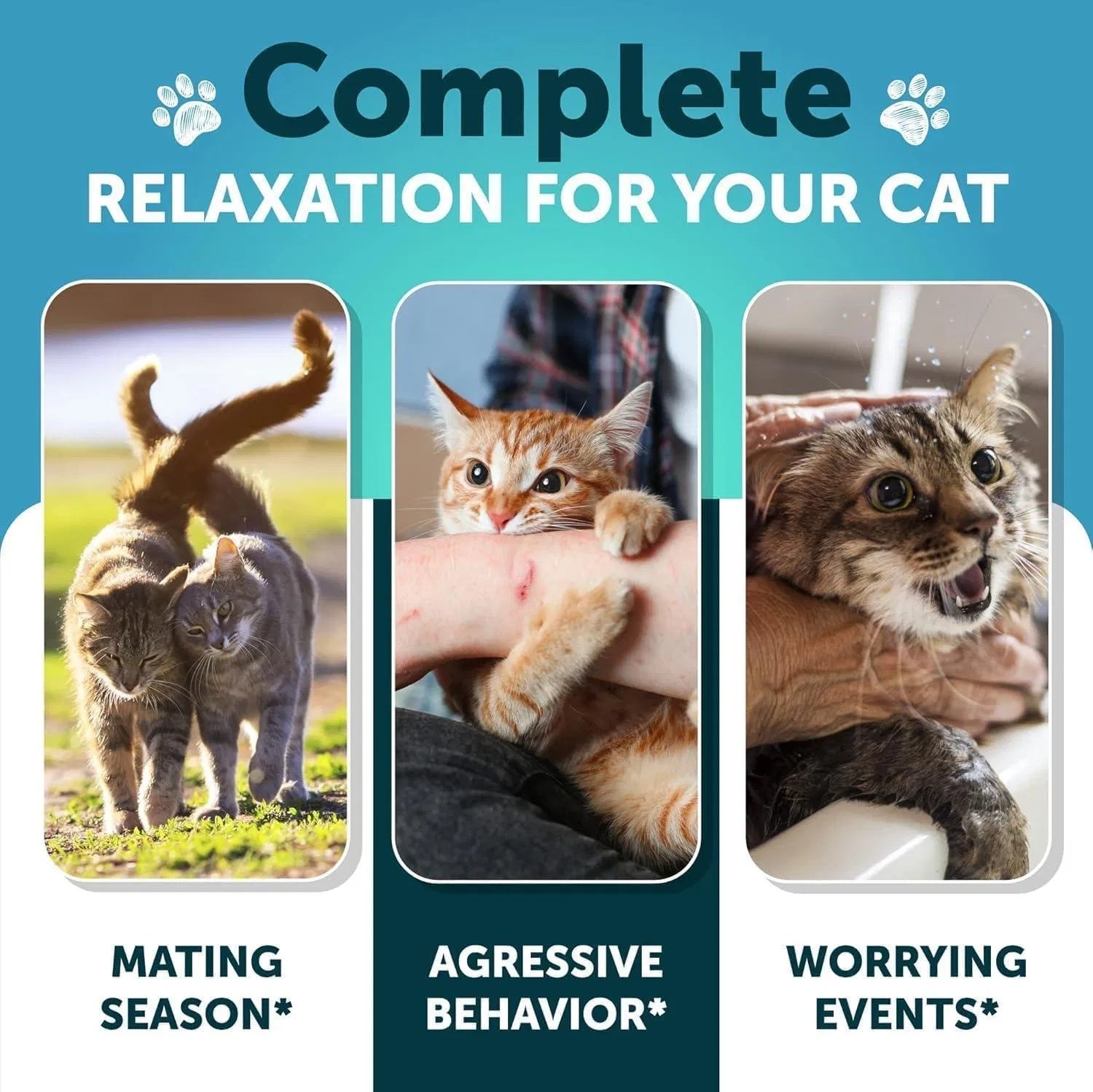 Cat Calming Treats For Stress & Anxiety Relief Cat Kittens Melatonin My Store